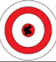 <p>This target is….</p><p>A. Accurate and precise </p><p>B. Precise</p><p>C. Accurate</p><p>D. Neither</p>