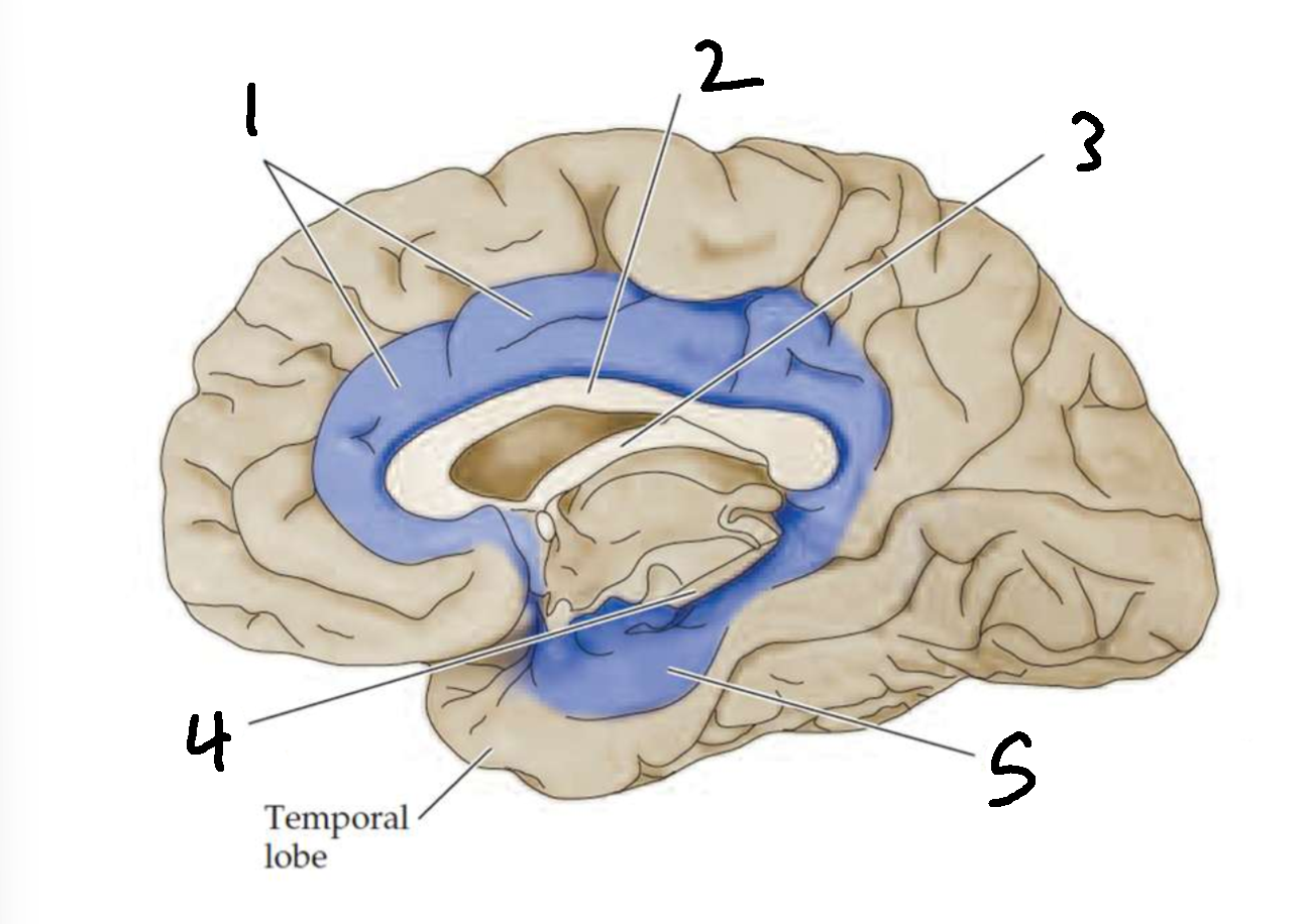<p>What is 2?</p>