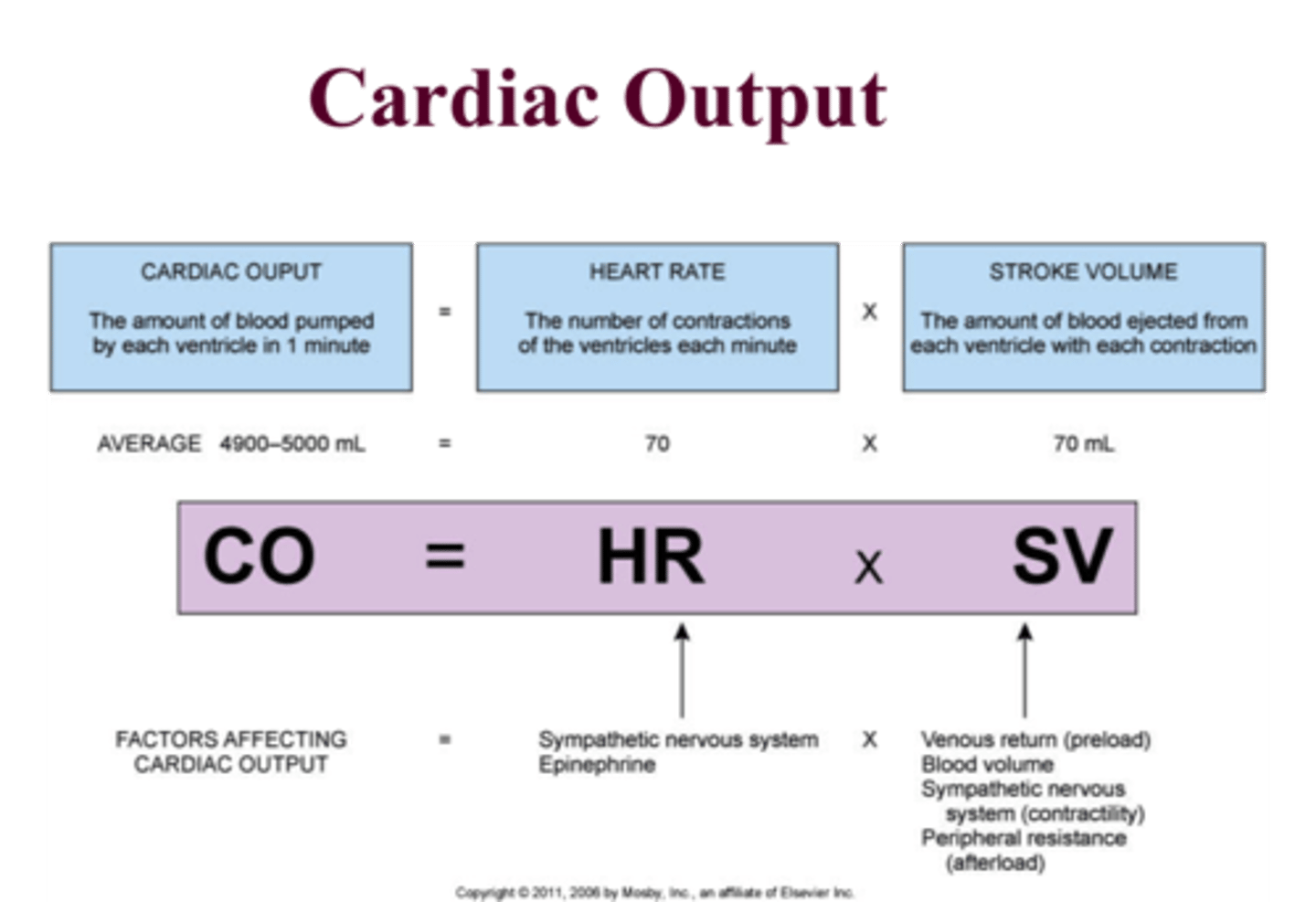 <p>the volume of blood leaving the heart per min, average is 5Lin a normal resting adult</p>