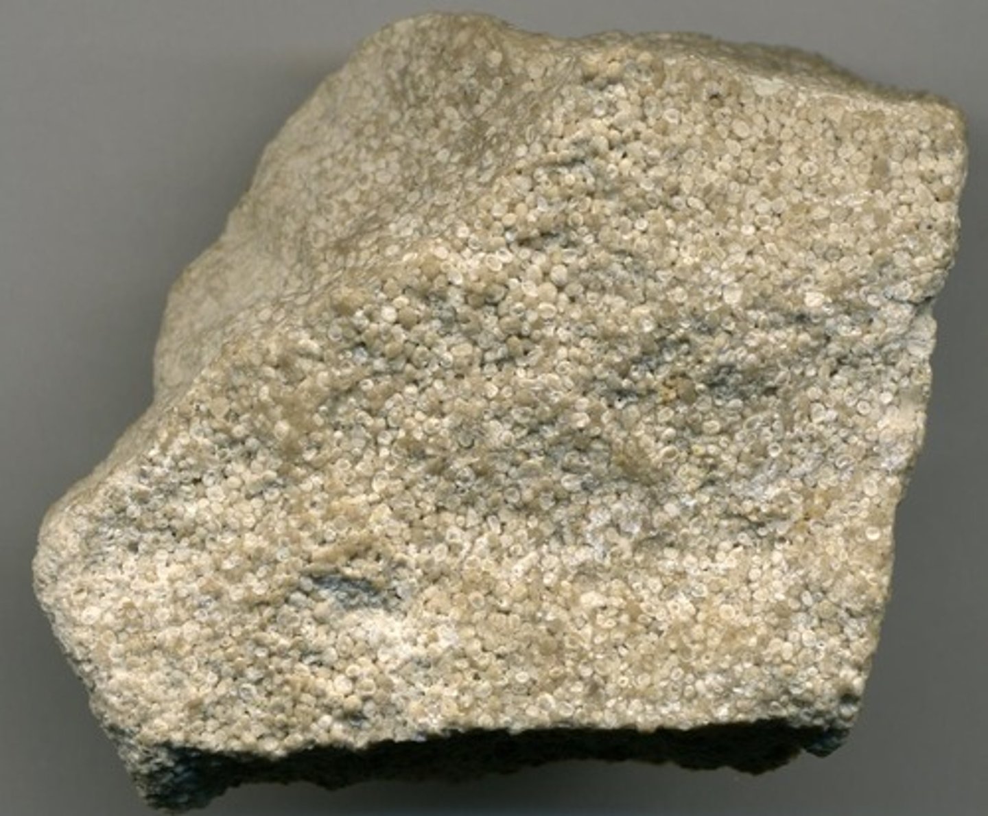 <p>Medium-gray rock with some obvious layering. No crystals visible. A few larger sediments within the rock. Fizzes when acid dropped on it.</p>