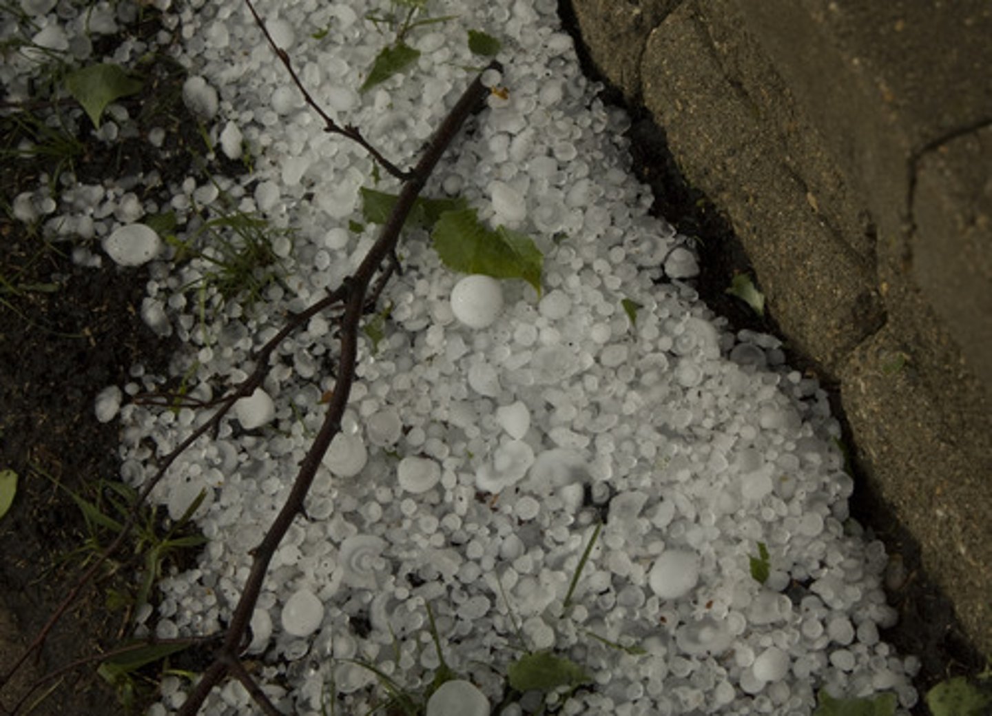 <p>hail</p>
