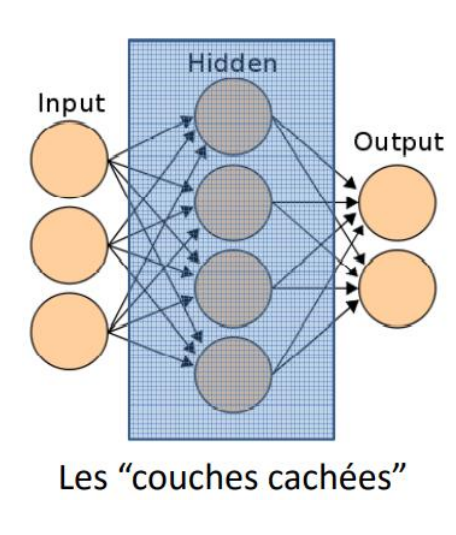 <p>Il y a des couches de traitement dont on n’est pas conscient. Nous avons l’impression d’être un TOUT, et non pas d’être composés de morceaux.</p><p>➢ Pourtant, la réalité est que nous sommes faits de fonctions spécialisées (propriétés émergentes) = aspects spécifiques sous-tendus par des couches spécifiques.</p><p>➢ Il s’agit de l’émergence d’un traitement réalisé différemment dans chaque coin du cortex.</p><p>Unicité dans la multiplicité :</p><p>-Impression d’un tout : Qui reçoit l’information, la traite puis réagit (ou non). = sensation subjective.</p><p>-Fonctions spécifiques : Qui concourent pour produire un comportement cohérent et adéquat (en principe) = la cognition est émergente</p><p>=> mais on sait aujourd’hui que le cerveau fonctionne sous forme de modules </p>