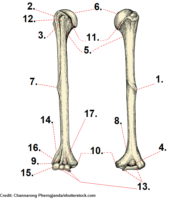 <p>14</p>