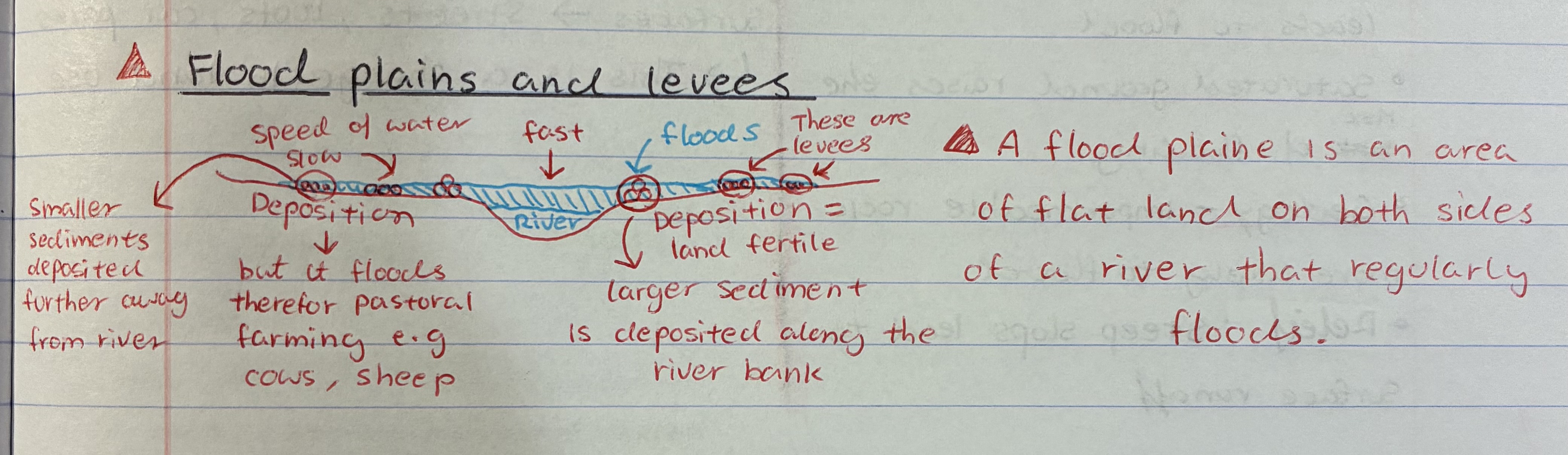 <ul><li><p>Floodplains is the area of flat land on both sides of a river that regularly floods</p></li></ul><p>1) when river flood they carry sediments&nbsp;</p><p>2) larger sediments are deposited closer to river</p><p>3) as water flows away from river they lose energy = becomes slower&nbsp;</p><p>4) smaller sediments deposites further away from river</p><p>5) so sediments left behind are called levees&nbsp;</p><p></p>