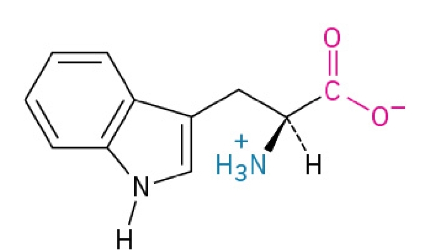 <p>Non-polar, amphipathic, essential amino acid</p>