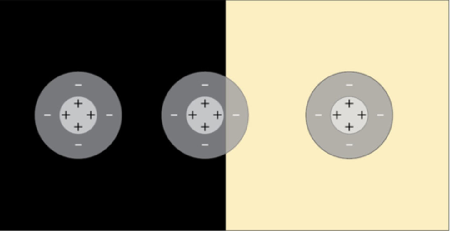 <p>- the left will have a higher firing rate (you should add up the pluses and minuses)<br>- so the left and right will have the same firing rate since the pluses and minuses cancel out<br>- the middle is less than the left because there is a minus in the light</p>