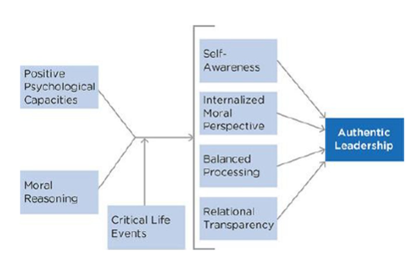 <p>-self awareness: reflecting on one's core values, identity, emotions, motives</p><p>-internalized moral perspective: self-regulatory process using internal moral standards to guide behavior</p><p>-balanced processing: ability to analyze information objectively and explore other people's opinions before making a decision</p><p>-relational transparency: Being open and honest in presenting one's true self to others</p>