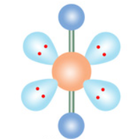 <p>m: linear e: octahedral</p>