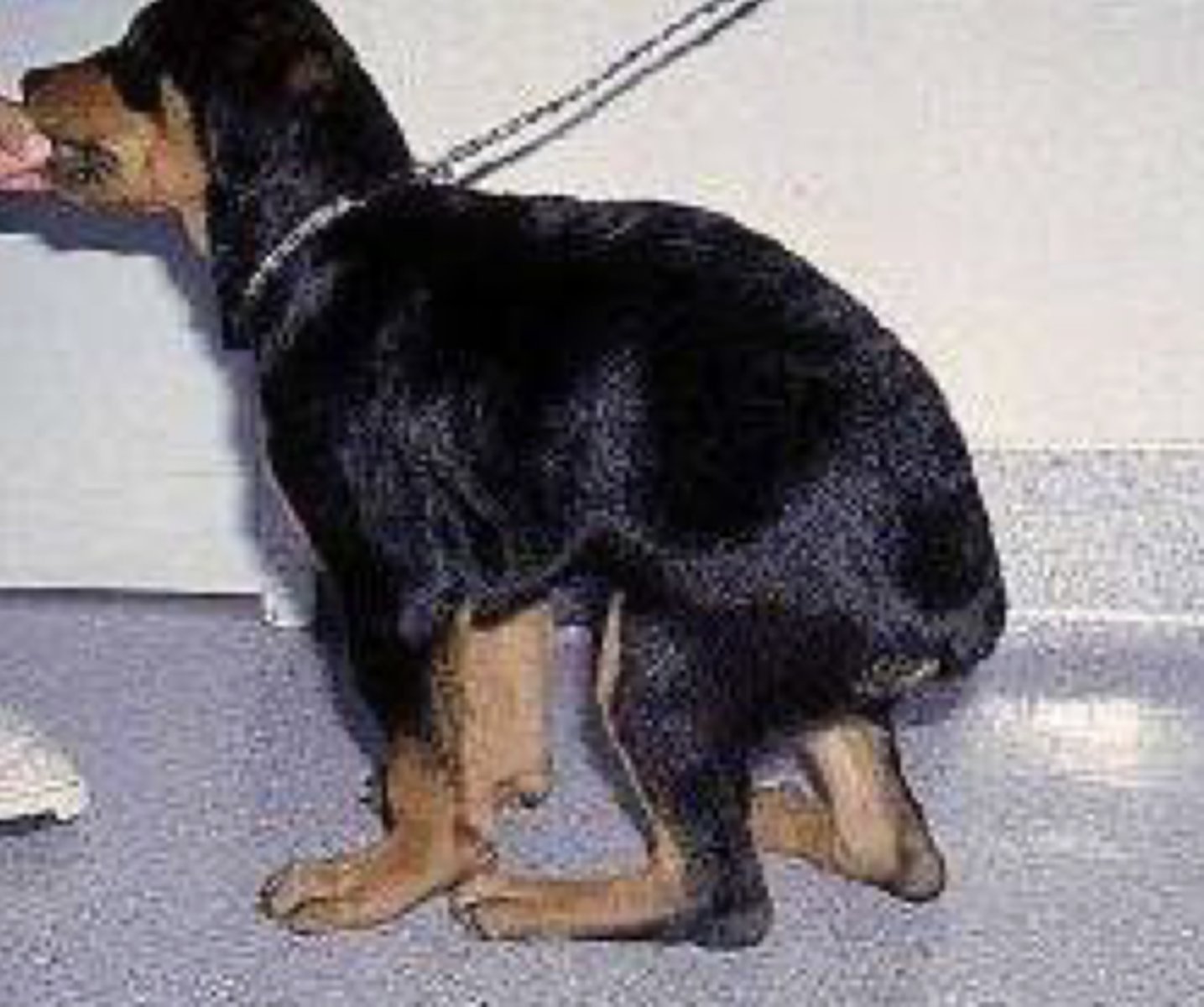 <p>What position is this?</p>
