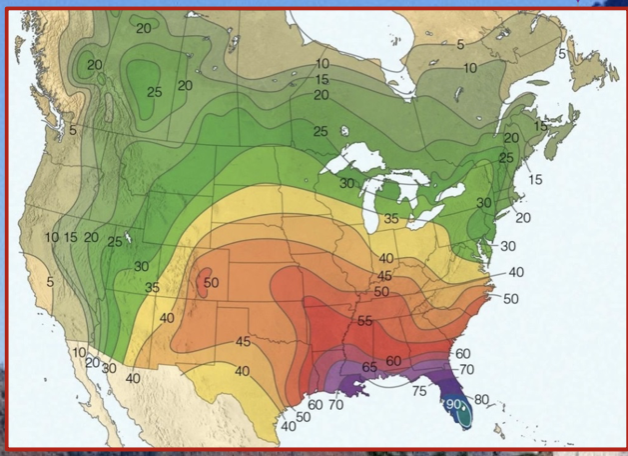 At any moment, there are approximately 2000 thunderstorms occurring on Earth.

\
Thunderstorm development

requires:

* unstable environment (a steep vertical temperature gradient)
* water vapour 
* rising air (or a lifting mechanism, eg., **a front**)

\
image:

* days per year with thunderstorms