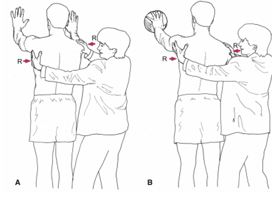 <p>Closed-chain scapular and glenohumeral stabilization exercises on bilat/R/L Shoulder x 10 reps x 3 sets to develop muscular stabilization and endurance</p>