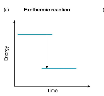 <p>Exothermic Reaction</p>