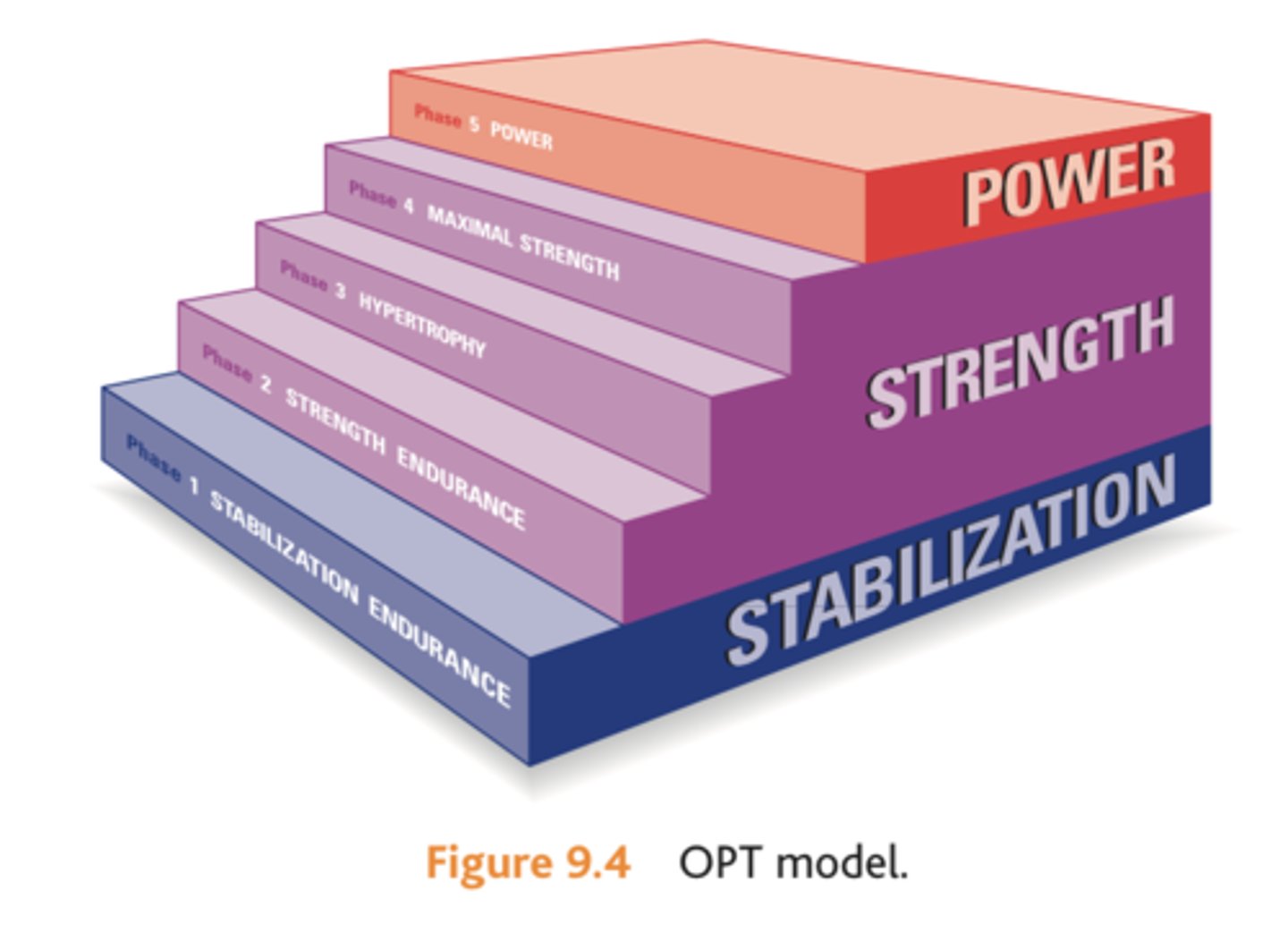 <p>all the training you need</p>
