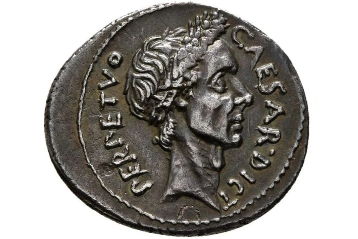 <p>Denarius (Coin) </p>