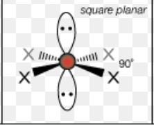 <p>square planar </p>