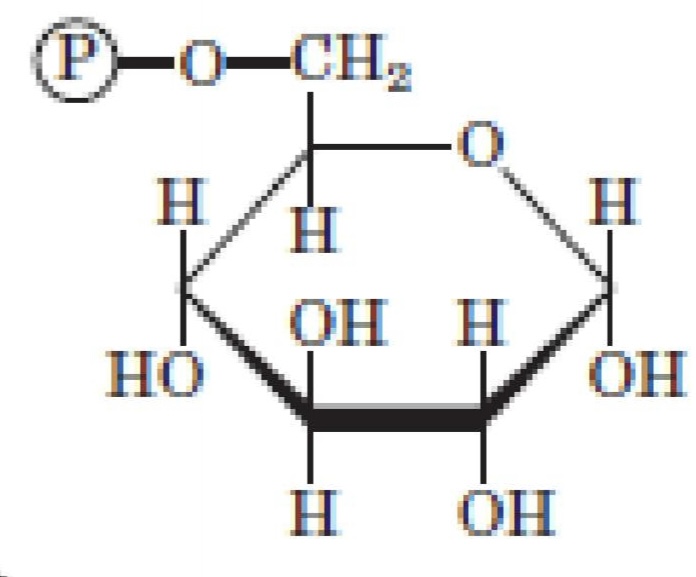 <p>What structure is this?</p>