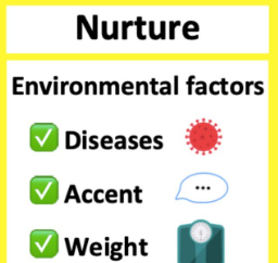 <p>The environment, like family relationships and cultures, shaping behaviors and human psychological development</p>
