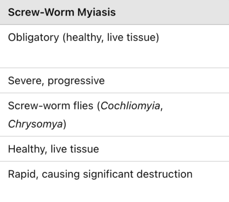 <p>Cochliomyia hominivorax (new world) and Cochliomyia bezziana (old world)</p>