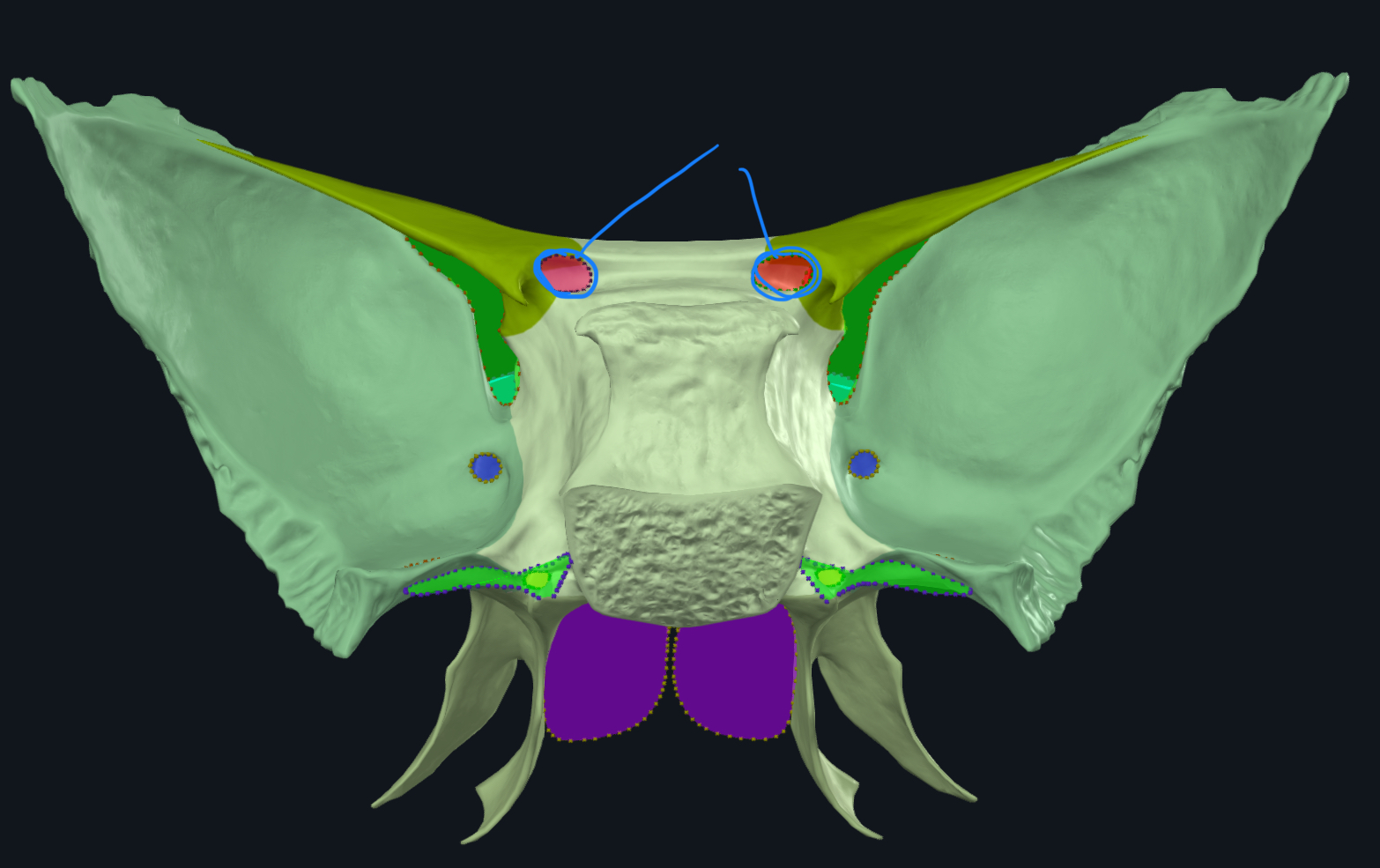 <p>what is this?</p>