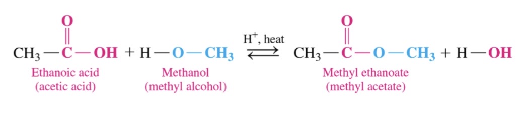 \-equalibrium reaction of a carbocylic avid and alcohol in the presence of an acid catalyst and heat to produce an ester