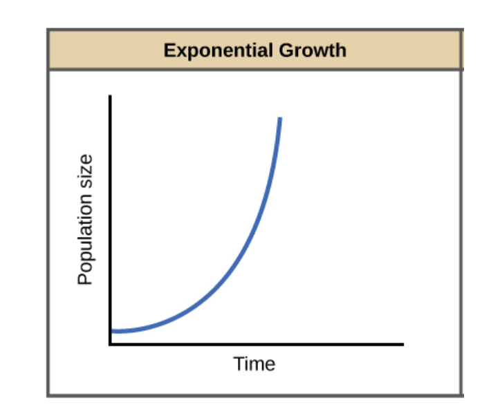 <p>Population grows exponentially and then suddenly collapses.</p>