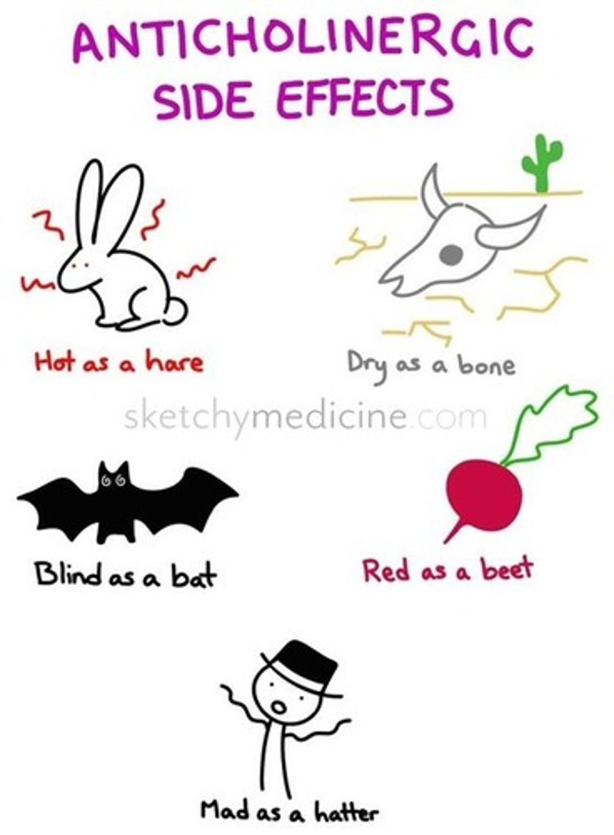 <p>Mad as a hatter (delirium, hallucinations)</p><p>Red as a beet</p><p>Dry as a desert (no pee, dry membranes)</p><p>Hot as hades (no sweating, hyperthermia)</p><p>Blind as a bat (mydriasis)</p>