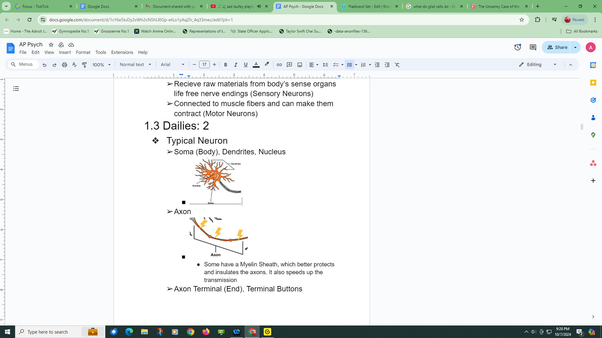 <p>A dendrite, soma (body), axons, nucleus, some have myelin sheaths, axon terminals, and terminal buttons </p><p></p><p></p>