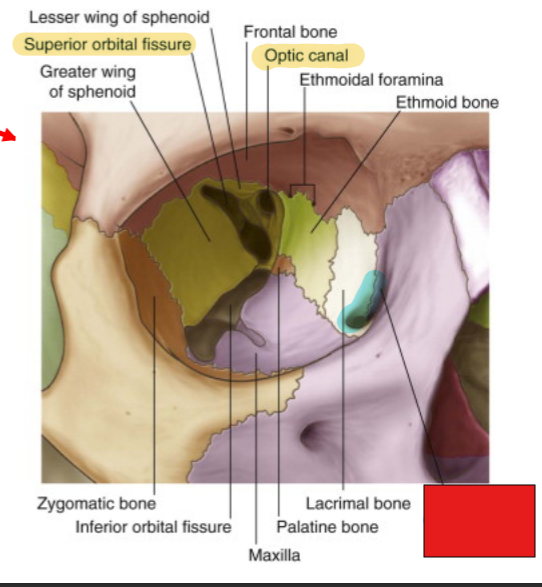 <p>fill in the red box:</p>