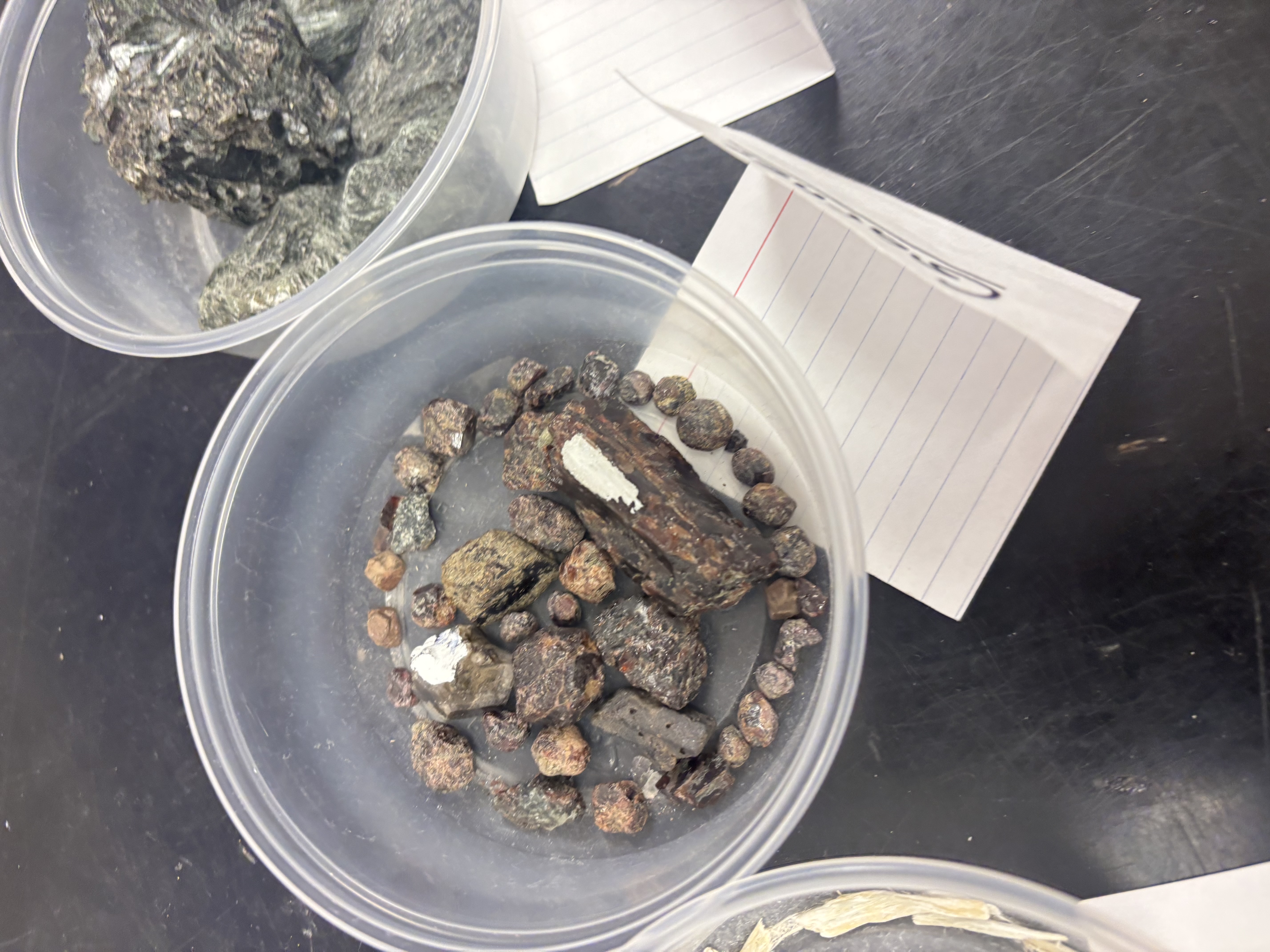 <p>Brown prismatic mineral; often forms cruciform twins; medium-grade index mineral.</p>