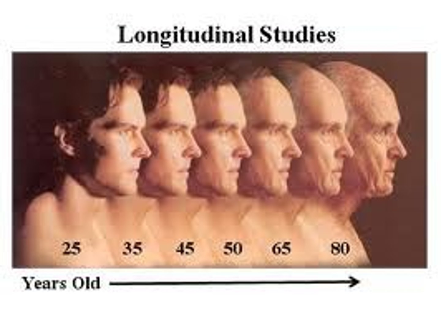 <p>conducting a study over time</p>