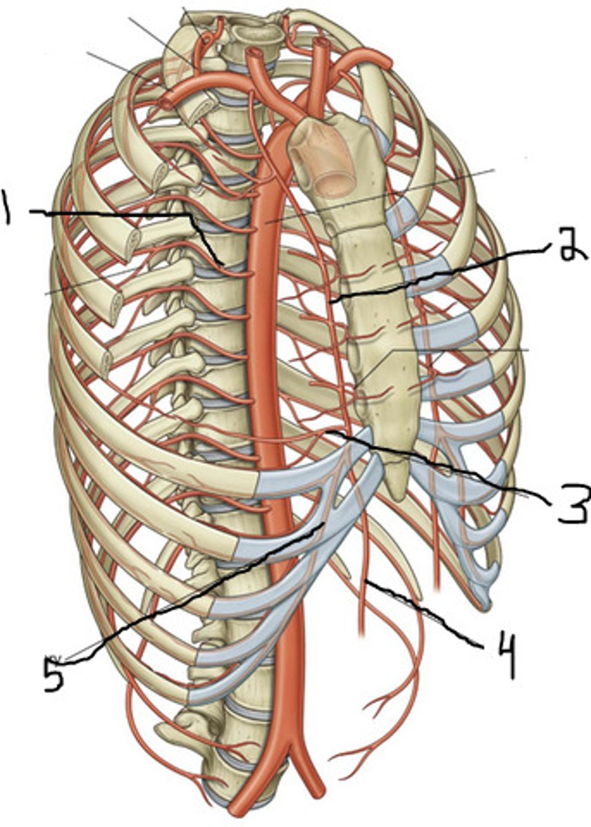 <p>5</p>