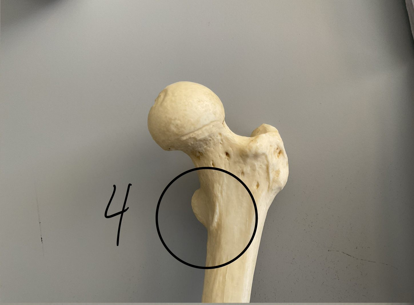 <p>4</p>