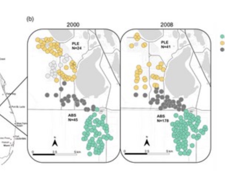 <p>What is predicted to be observed, given the figure provided </p>