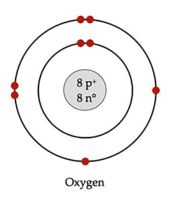 <ul><li><p># of protons</p></li><li><p># of neutrons</p></li><li><p># of electrons</p></li></ul><p></p>