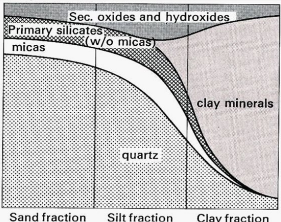<ul><li><p><strong>Quartz:</strong> mainly sand (also silt)</p></li><li><p><strong>Primary silicates (feldspars, pyroxenes, etc.):</strong> sand → silt</p></li><li><p><strong>Micas:</strong> mainly silt (can weather to clay)</p></li><li><p><strong>Clay minerals:</strong> clay (< 2 µm)</p></li><li><p><strong>Fe/Al/Mn oxides & hydroxides:</strong> clay (very fine particles/coatings)</p></li></ul><p><strong>Rule of thumb:</strong><br>Sand = quartz</p><p>silt = a bit of everything</p><p>clay = clay minerals and others</p>