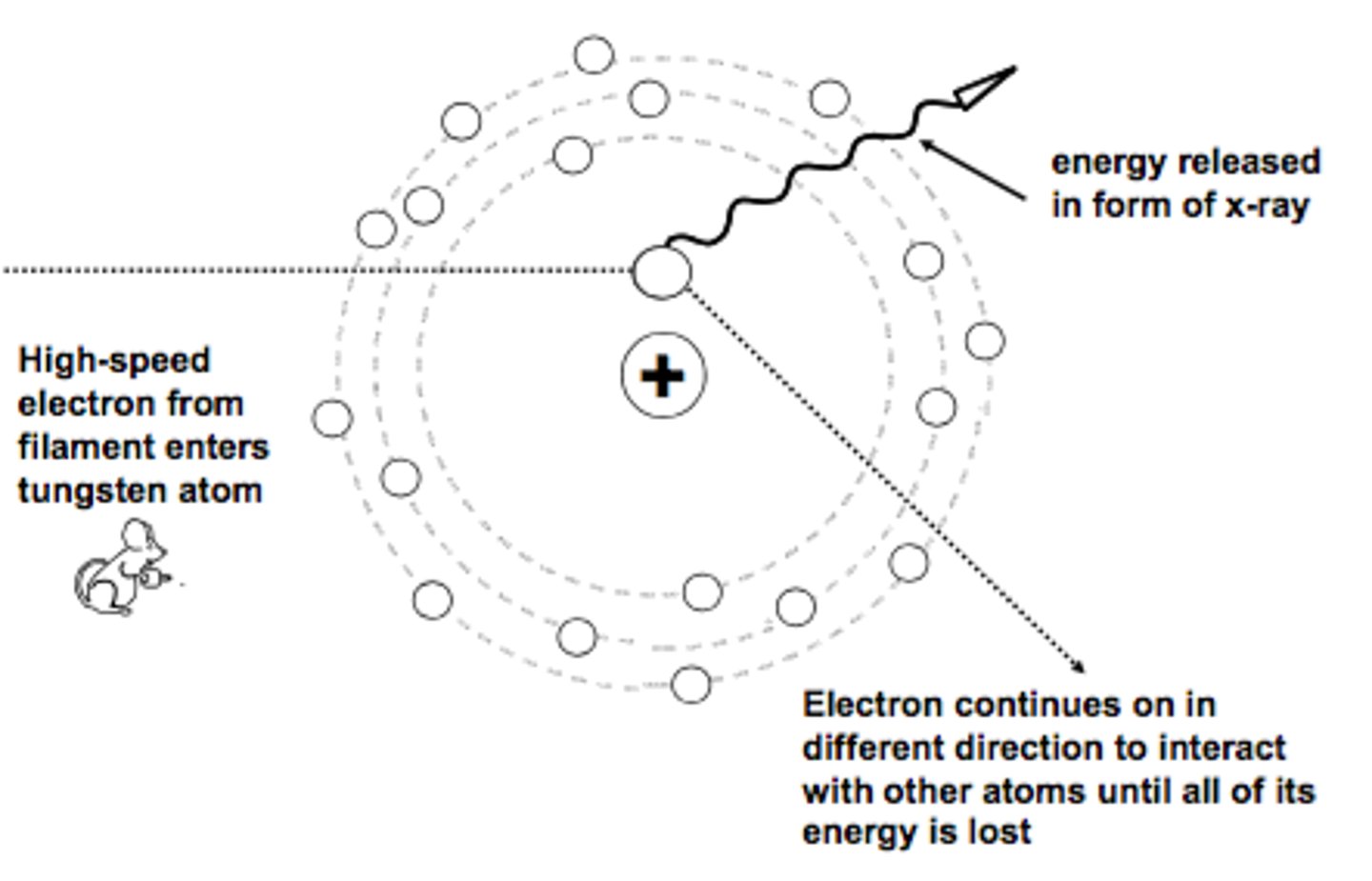 <p>braking radiation</p><p>projectile e- slowed by the electric field of target atom nucleus resulting in loss of kinetic energy</p><p>electrostatic force increases with increasing Z#, closer to nucleus</p><p>no threshold of 70 kVp</p><p>most common in diagnostic range</p>