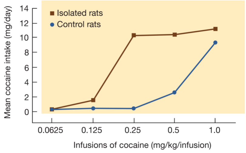 <p>How do you get from abstinence to relapse?</p>