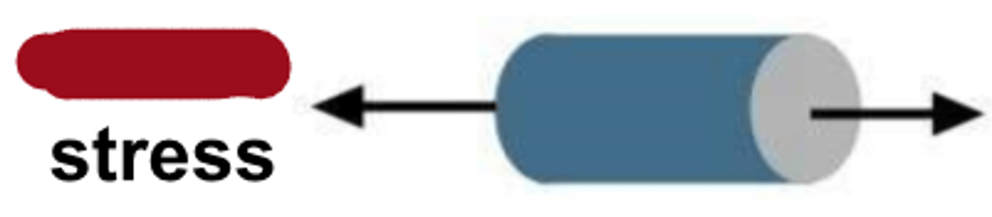 <p>type of stress?</p>