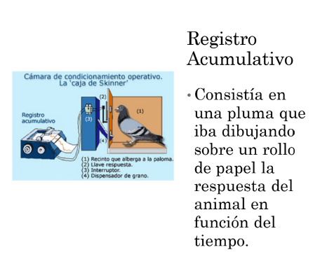 <p>consistia en una pluma que iba dibujando sobre un rollo de papel la respuesta del animal en funcion del tiempo.</p>
