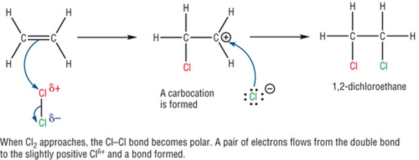 <p>-Chlorine is a very good electrophile. It will react with double and triple bonds, as well as aromatics, enols, and enolates to give chlorinated products. In addition, it will substitute Cl for Halogens when treated with light (free-radical conditions). It also assists with the rearrangement of amides to amines ( the Hoffmann rearrangement)</p><p>- NCS, Br2, NBS, I2, NIS</p>