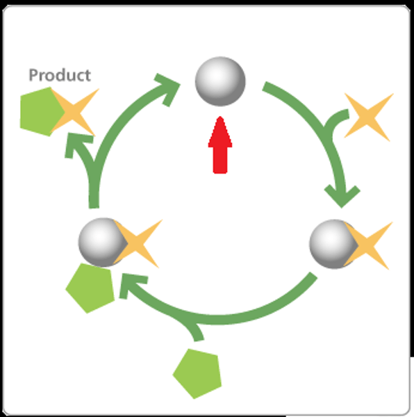 <p>A chemical agent that speeds up a reaction without being consumed by the reaction.</p>