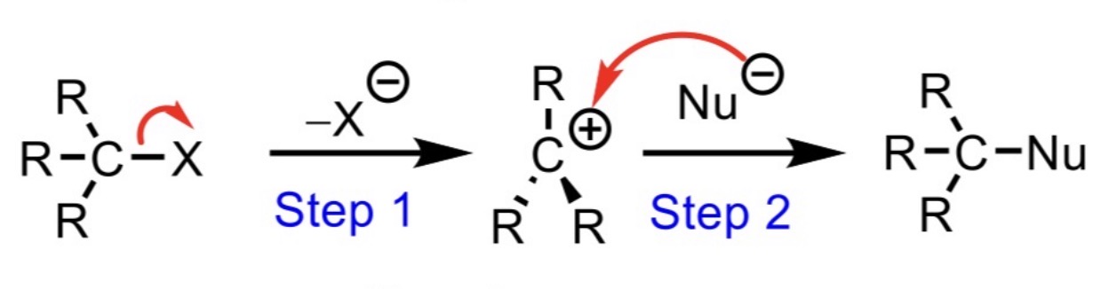 <p>(1) - two step process. rate=k[haloalkane]. best in polar protic solvent</p><p>Works with weak nucleophiles</p><p>favours tertiary (some secondary) haloalkanes - stable carbocation</p><p>racemisation: planar carbocation intermediate</p>