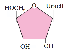 <p>What is this compound called?</p>