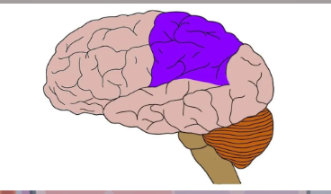 **What region is purple?**