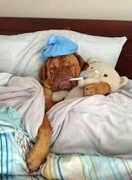 <p>Illness after contraction of a disease</p>