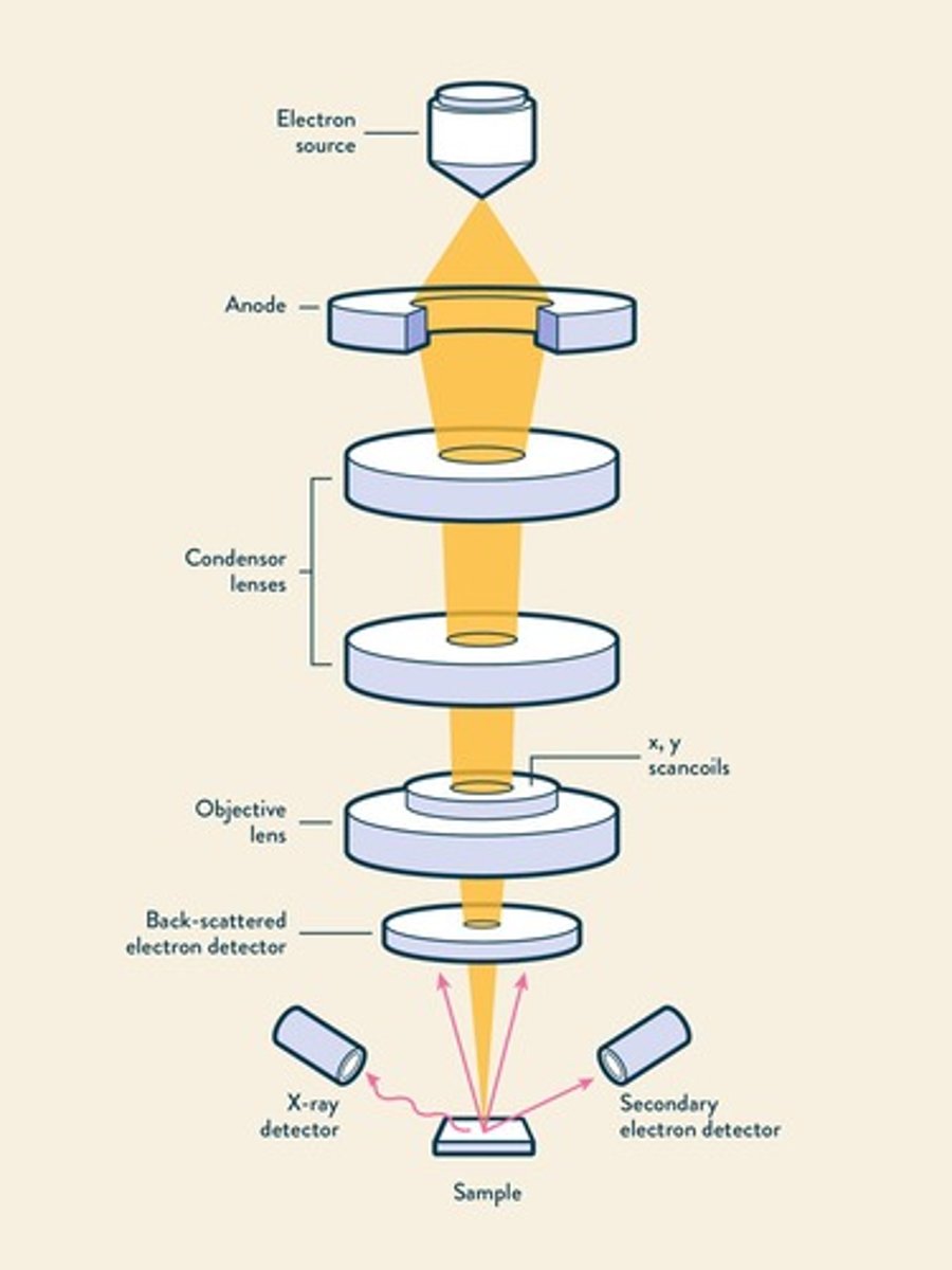 <p>Produces images by scanning with electron beam.</p>