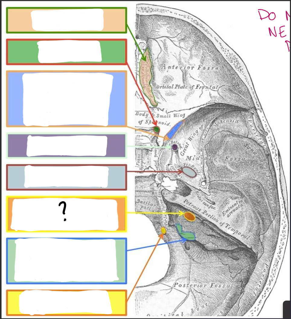 term image
