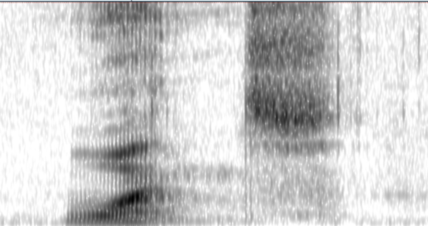 <p>Select the word that matches the spectrogram best.</p>