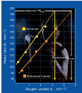 <p>1. There is a linear relationship between Power Output (PO), VO2 and Heart Rate (HR) during graded exercise - a lees fit person will hit HR max at a lower VO2, linear relationship between HR and PO</p><p>2. You can accurately predict HRmax</p><p>3. If you can accurately predict HRmax it will match VO2 max because of the cardiac limitations on oxygen delivery in the body</p>