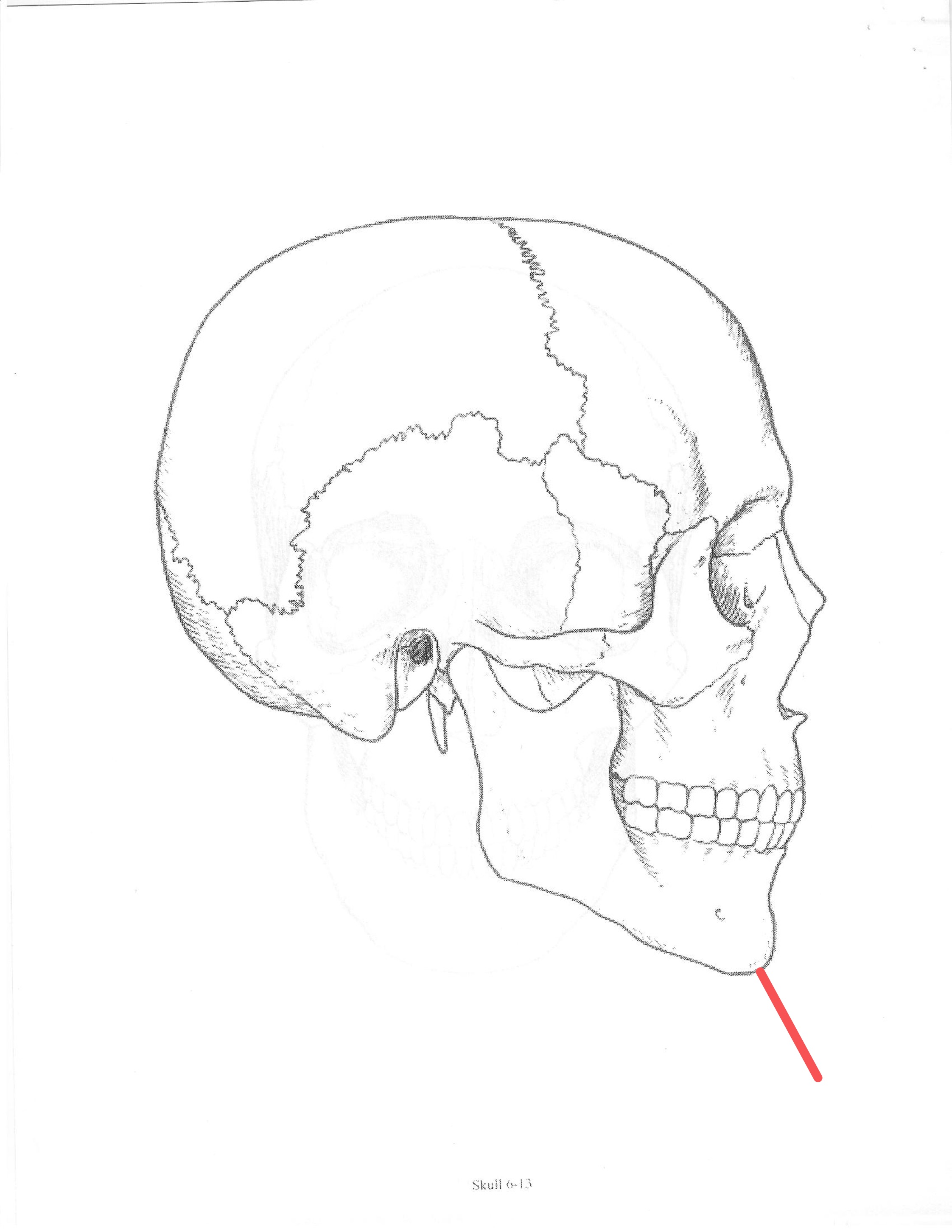 <p>ID feature</p>